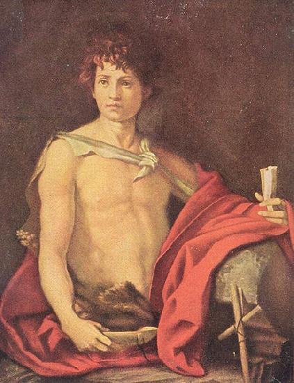 Andrea del Sarto Der jugendliche Johannes oil painting image